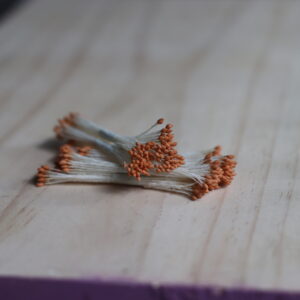 Pollens orange