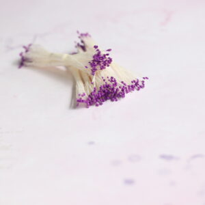 Pollens purple